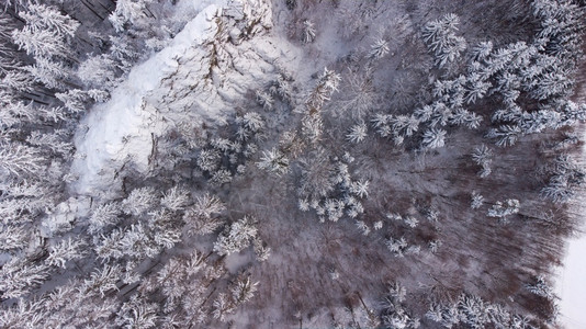 冬季风景由无人驾驶飞机从上而下森林和降雪户外自然天图片