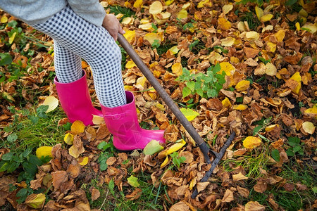 年轻的地球秋天穿着胶靴的女孩拿耙子落叶穿着胶靴的女孩拿耙子落叶图片