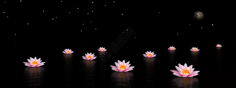 日本黑暗街头晚上在水里放几朵粉红百合花夜晚有月亮和星黑暗的莲花按摩设计图片