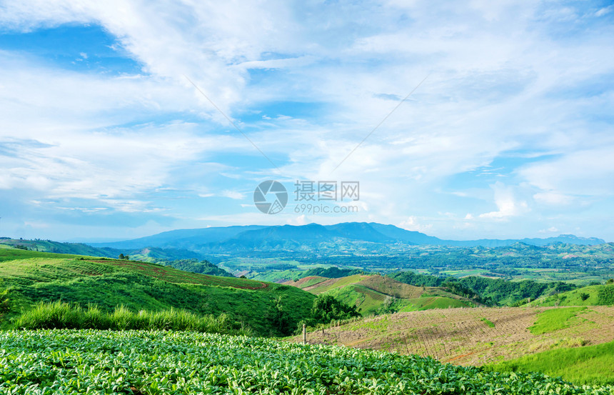 青绿季节的KhaoKhoo山脉户外乡村的自然图片