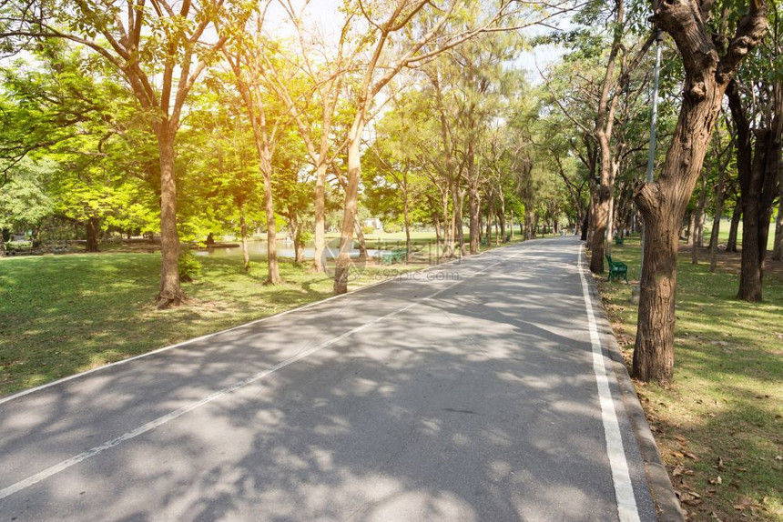 有绿色领域的长路蓝色公园季节图片