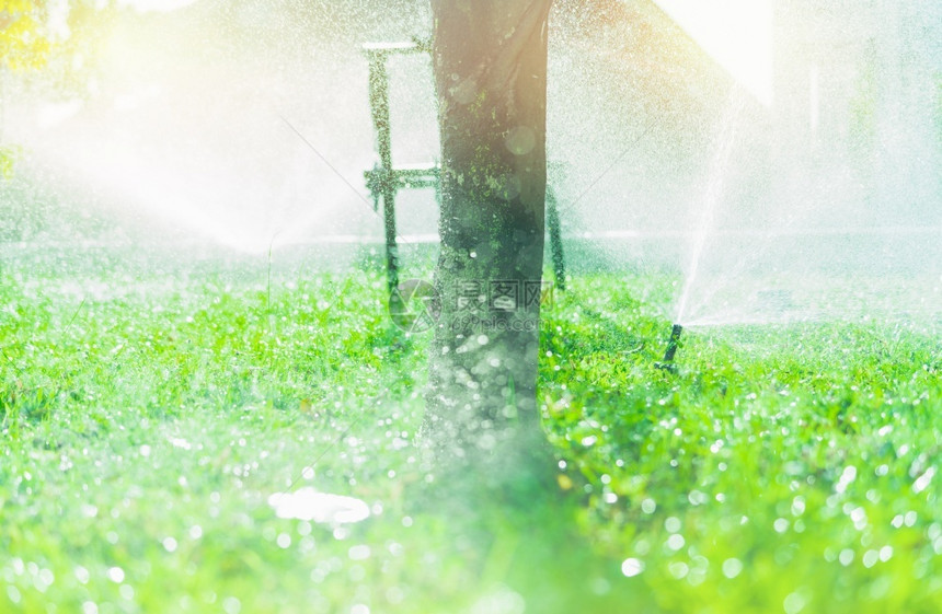 保护园林绿化花灌溉系统林草地Sprinkler系统维护供水服务家庭灌溉喷洒灭水器用喷洒和飞溅图片
