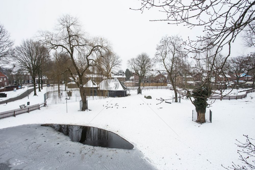 屋荷兰冬季积雪覆盖的传统住宅鸟瞰图荷兰冬季积雪覆盖的传统住宅鸟瞰图街道镇图片