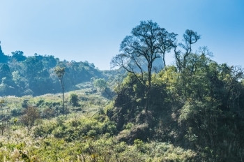 娱乐泰国清迈DoiLuangChongDao山自然公园景观銮路图片