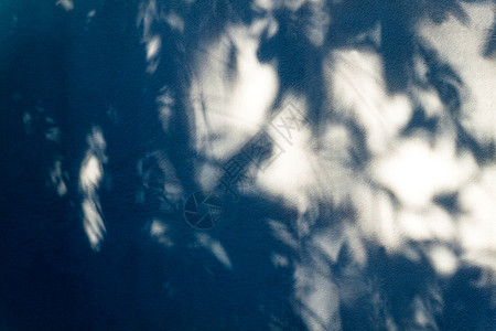 树叶阴影黑暗的自然白墙上色和黑的阴影叶用于设计图案和艺术作品的摘要背景春天背景