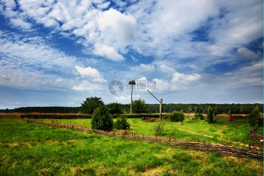 多云的春天夏季日有巢的农村景观自然图片