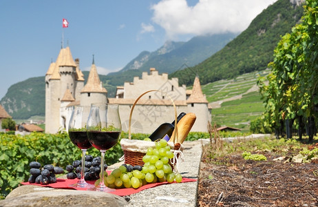优质的瑞士葡萄酒和村庄浪漫的图片