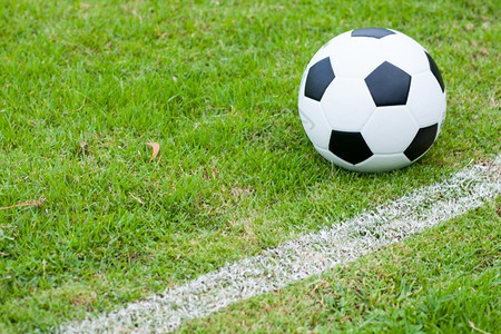 竞技土地草上的球边线新鲜的绿草黑白球匹配背景图片