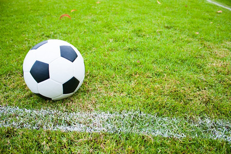 草地上的球边线新鲜的绿草黑白球赢足草皮图片