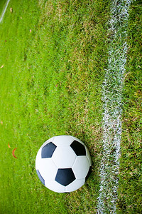 踢阴影皮革草地上的球边线新鲜的绿草黑白球图片