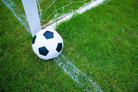 团队联盟草地上的球边线新鲜的绿草黑白球背景图片