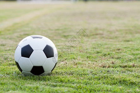 闲暇户外绿色草地上的球边线新鲜的绿草黑白球背景图片
