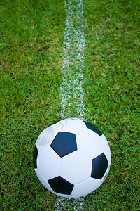 竞赛草地上的球边线新鲜的绿草黑白球踢副业图片