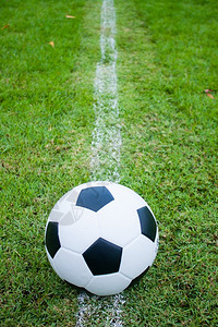 角落娱乐赢草地上的球边线新鲜的绿草黑白球背景图片