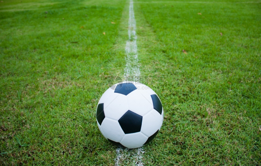 象征联盟体育场草地上的球边线新鲜的绿草黑白球图片