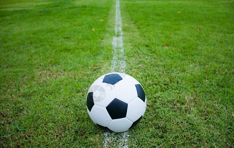 象征联盟体育场草地上的球边线新鲜的绿草黑白球背景图片