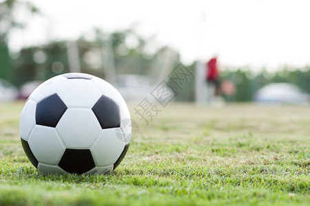 草皮运动地上的球边线新鲜的绿草黑白球锦标赛背景图片