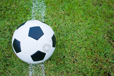 踢户外象征草地上的球边线新鲜的绿草黑白球背景图片