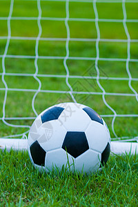 玩草地上的球边线新鲜的绿草黑白球足背景图片