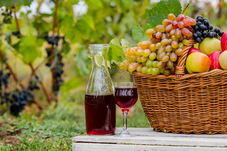 葡萄园里的葡萄和酒图片