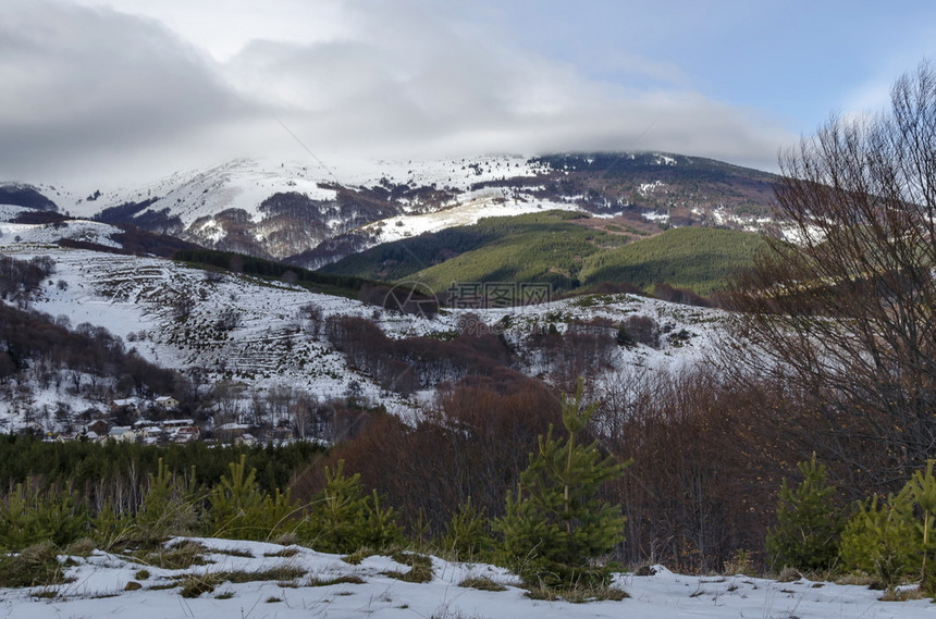 冬天云季山雪地住宅区从Plana山到Vitossha山的松木林和衰落森保加利亚欧洲谷正面图片