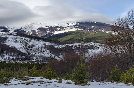 维普拉森冬天云季山雪地住宅区从Plana山到Vitossha山的松木林和衰落森保加利亚欧洲谷正面背景