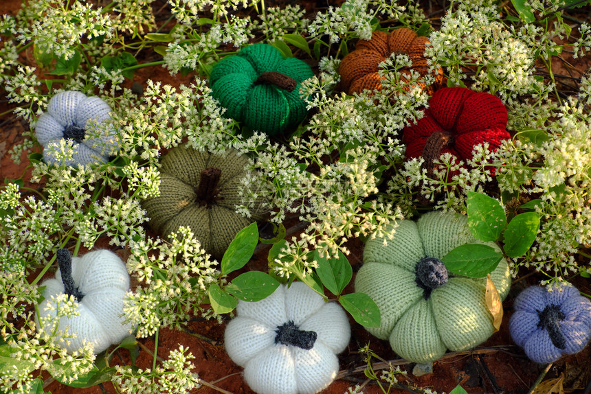 叶子玩具花园里一群多彩的南瓜草地上有白色小花朵手工制作的产品用毛线编织休闲活动植物图片