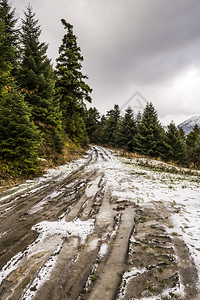 云穿越森林的雪化轨迹穿过绿林经地色图片