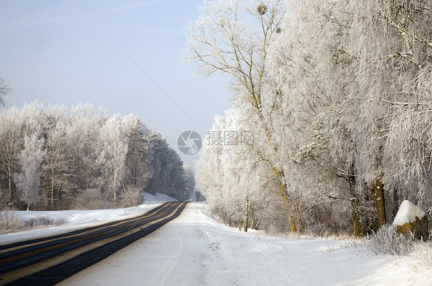 植物白雪皑凉爽的冬季汽车沥青路雾中山地森林冬季乘坐汽车旅行冬季乘坐汽车行驶在荒雾中的山地林图片