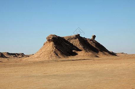 非洲在骆驼颈上旅游沙漠图片