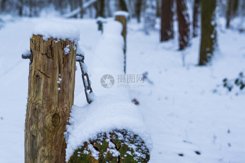 坝冬季在森林景观中关闭一个简单的木制路障束以挡住一层雪覆盖的阻拦栏杆极锁图片