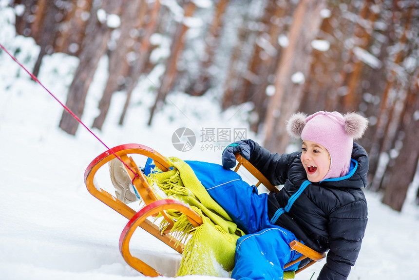 一个可爱的女孩坐在雪橇里家庭冬天在树林里散步一个可爱女孩坐在雪橇里家庭树林走美丽的人们父母图片