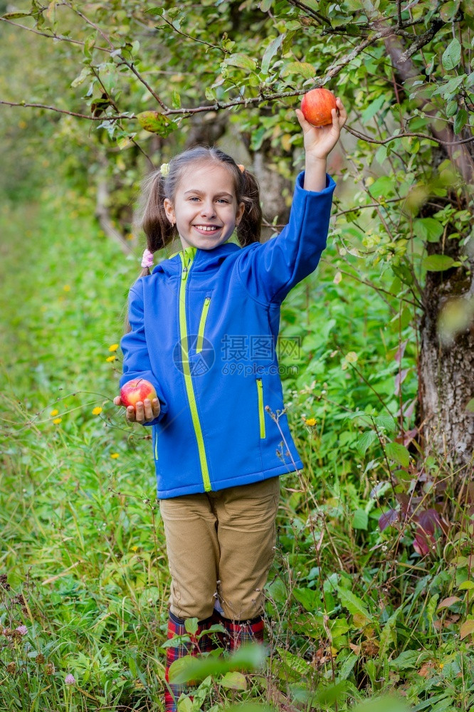 果园采摘苹果的女孩图片