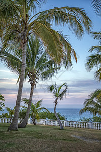 自然安详海面垂直视图附近热带公园的美丽景色Name古巴图片