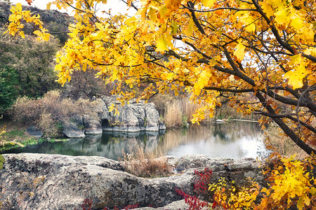 景观宁静在黄树下山的湖中在秋天下黄树山的里户外图片