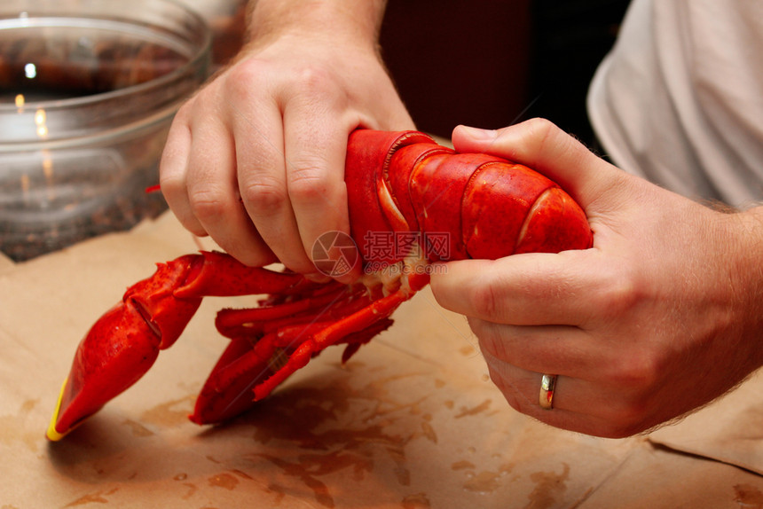 多汁的双手把龙虾切成两半合上相片扇贝一顿饭图片