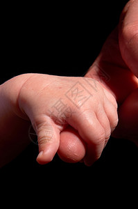 微小的相信成人持有婴儿手白色图片