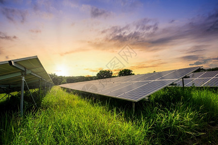 环境的干净太阳能电池组关于日落天底清洁替代电力能源概念的太阳电池小组图片