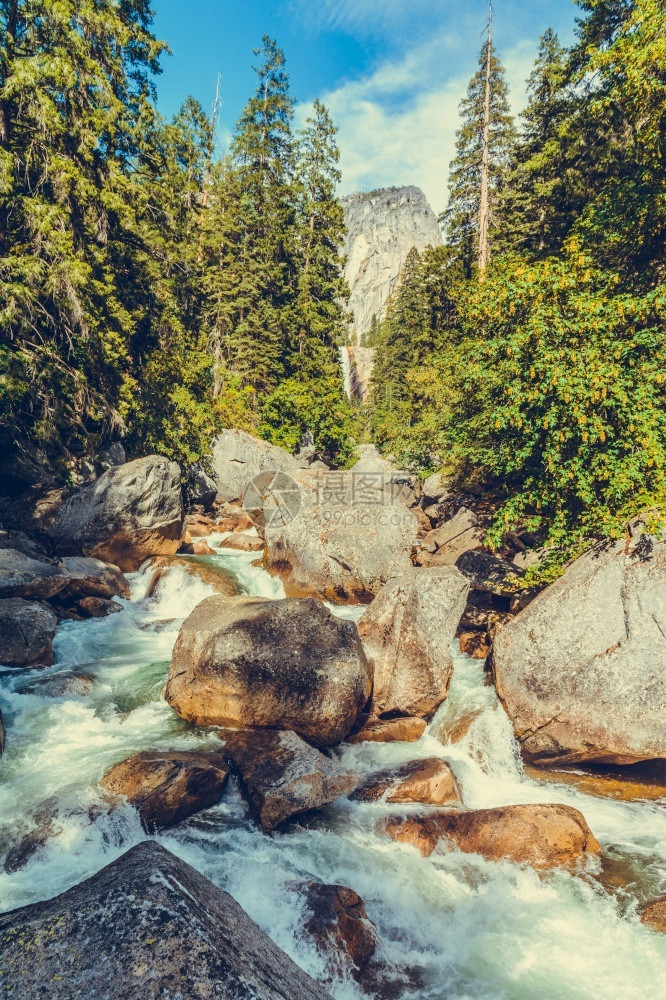 山美国加利福尼亚州约塞米特公园级联森林图片