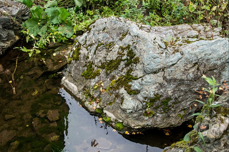 纯洁的山泉流在覆盖着绿苔石的头之间结溪流森林背景