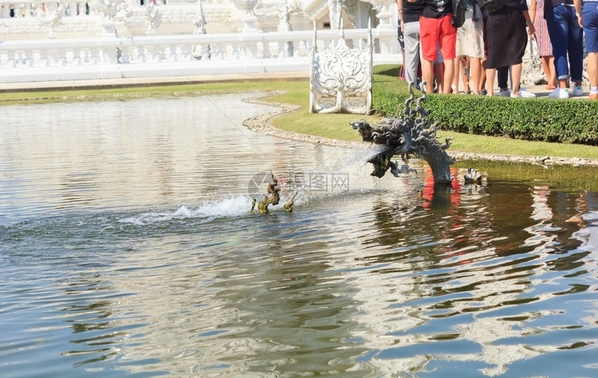 在泰国寺庙喷洒水的Naga雕像湖户外绿色图片