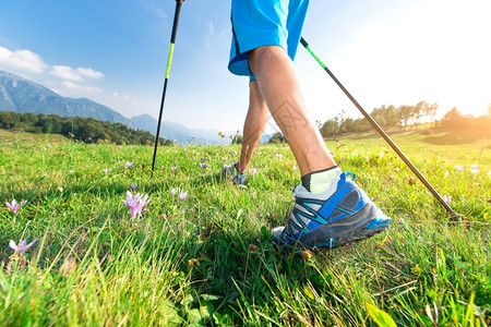赛跑者鞋自然在草原上散步带春花和北欧步行杆图片