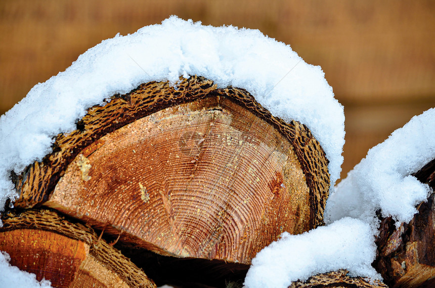 木制的雪层覆盖火林木日志关闭宏纹理季节冬天图片