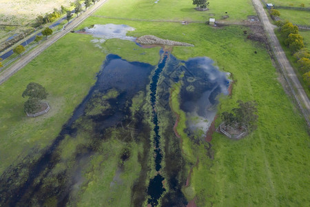 丛林澳大利亚地区新南威尔士州农业田地发生洪水的空中摄影照片树木风景背景图片