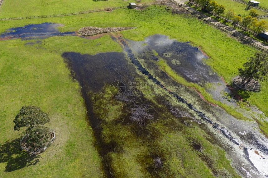 绿色澳大利亚地区新南威尔士州农业田地发生洪水的空中摄影照片新的叶子图片