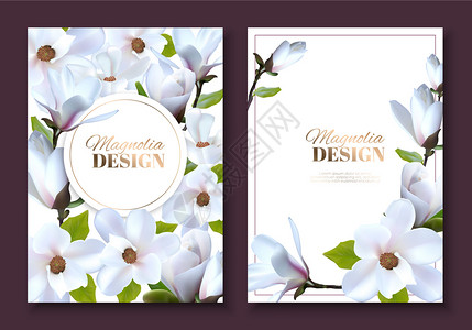 花朵优惠券天带木兰花的贺卡带装饰花的婚礼小册子形象的生日插画