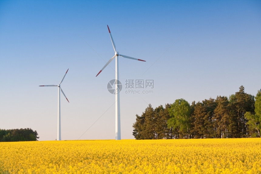 春时场的风车农蓝色远景活力图片