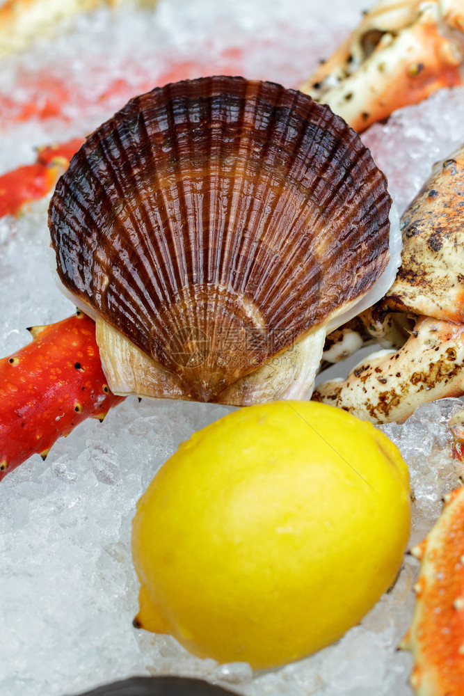 地中海新鲜的产食品在鱼市的冰面上与许多种类的海产食品的托盘软体动物图片