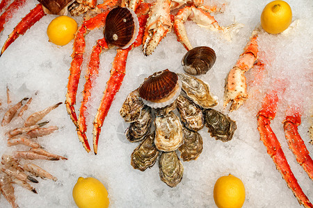 动物海产食品在鱼市冰面上与许多种类的海产食品螃蟹地中海图片