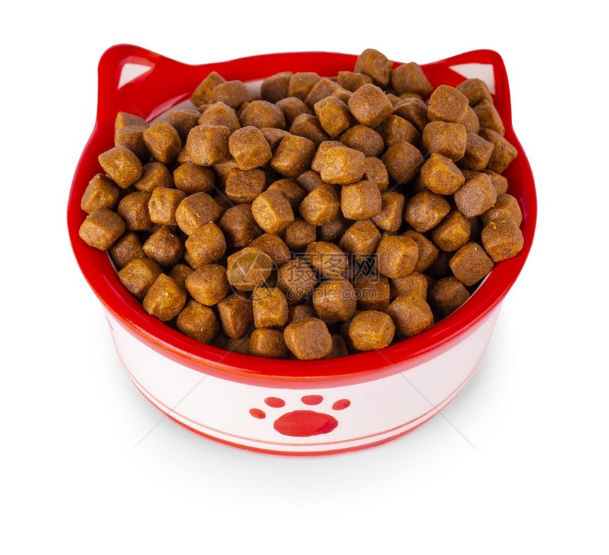 新鲜的最佳碗里干猫食白底孤立棕色图片